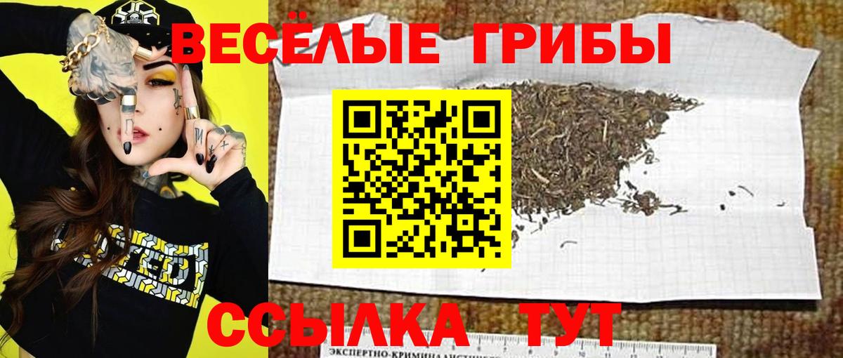 Галлюциногенные грибы GOLDEN TEACHER Пыть-Ях